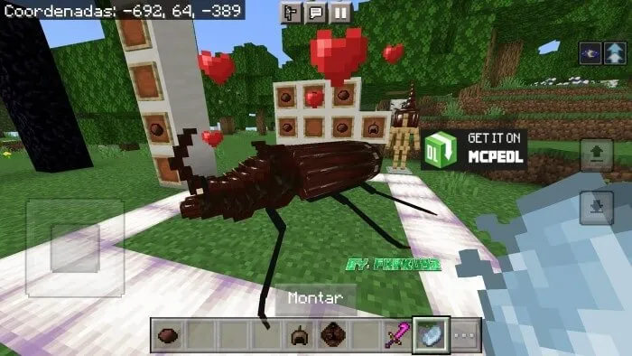 Приручение жука