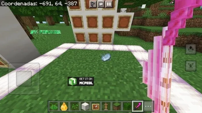 Мясо насекомого