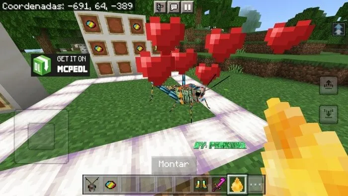 Приручение радужного кузнечика