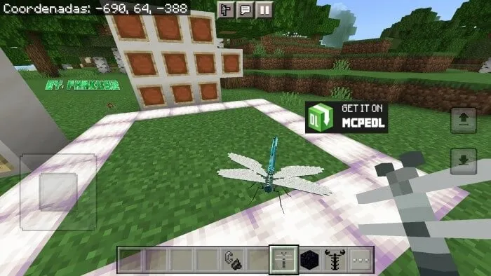 Вид стрекозы