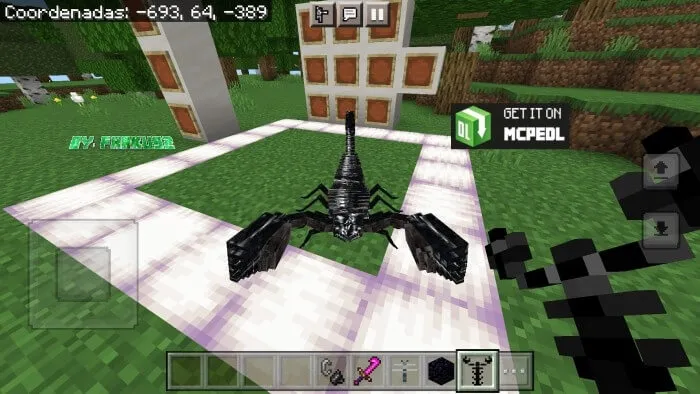 Вид скорпиона