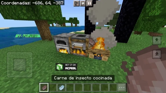 Приготовленное мясо насекомых