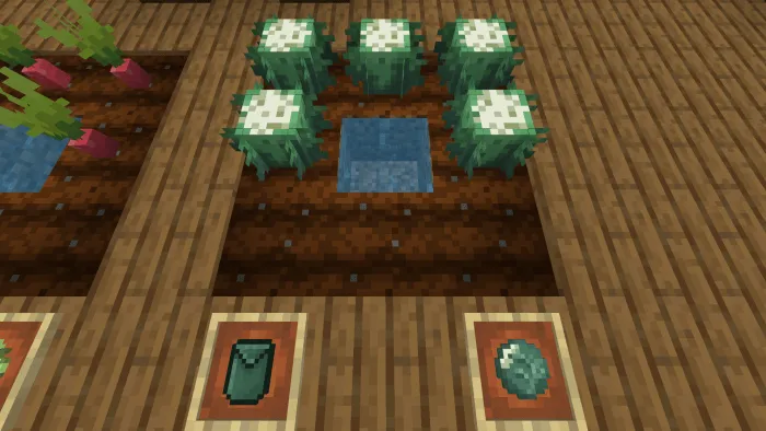 Цветная капуста