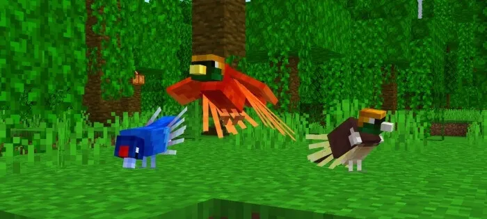 Райская птица