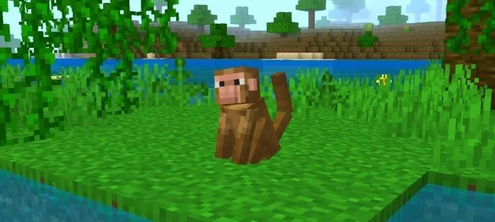 Вид обезьяны