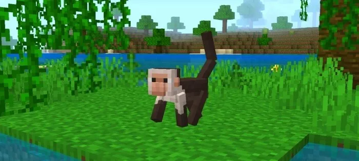 Обезьяна купцина