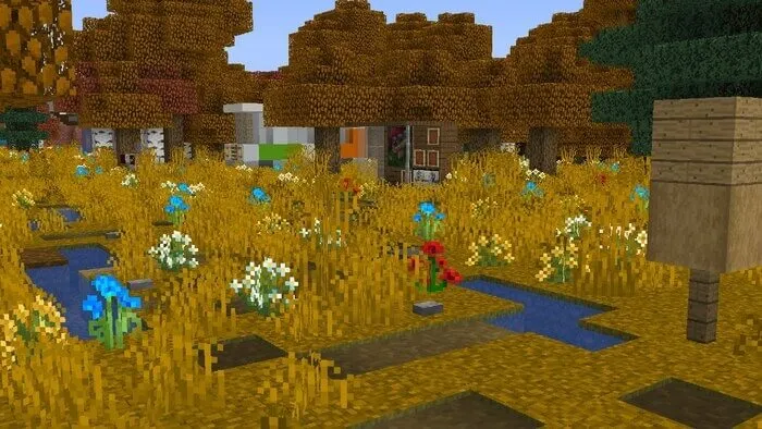 Трав и фонари