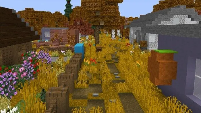 Дорога возле домов