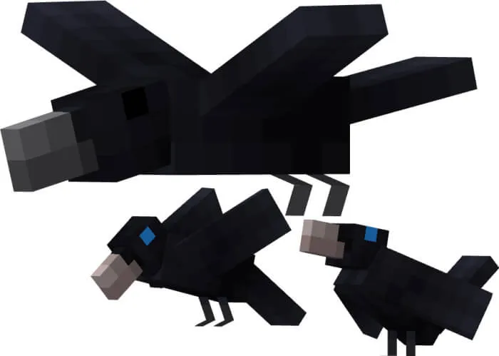 Черные вороны