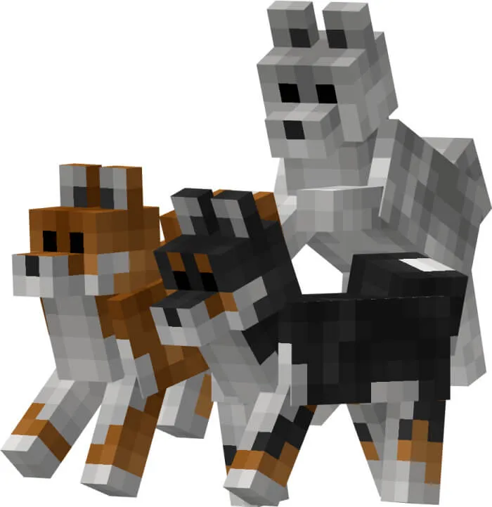 Собаки Сиба-ину