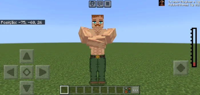 Вид эсканора