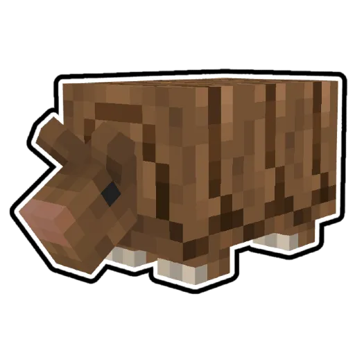 Вид броненосца