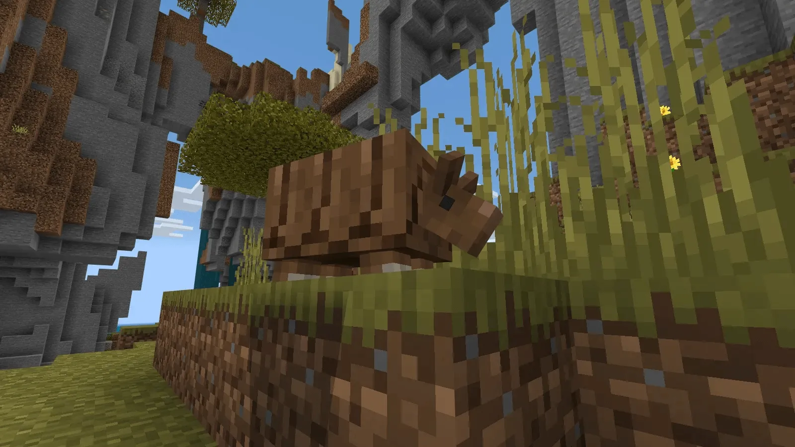 Броненосец с травой