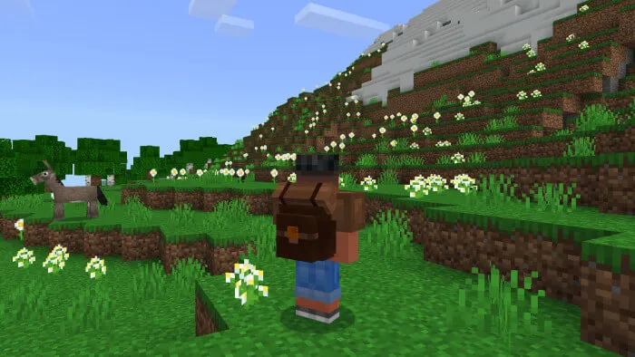 Вид хранилища