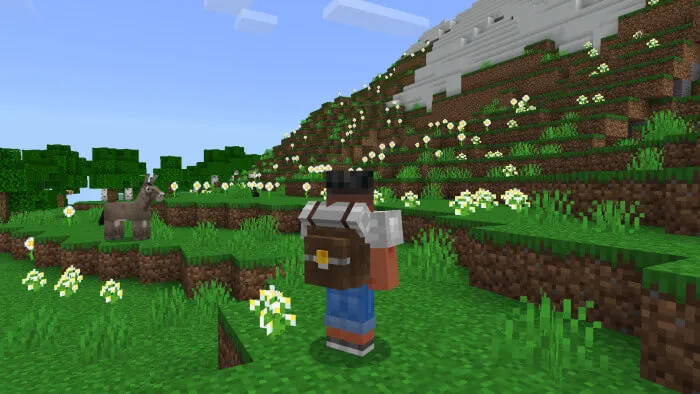 Рюкзак из железа