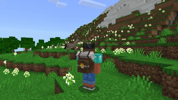 драгоценный рюкзак