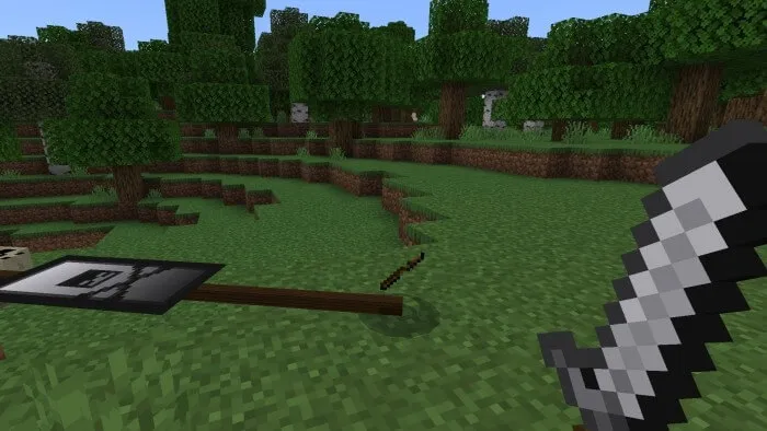 Палка для вторжения