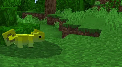 Хамелеон в джунглях