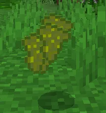 Шкура хамелеона