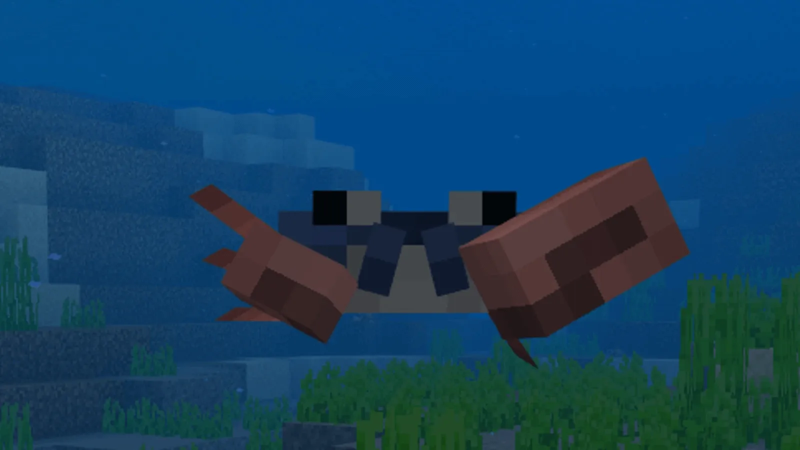 Краб в воде