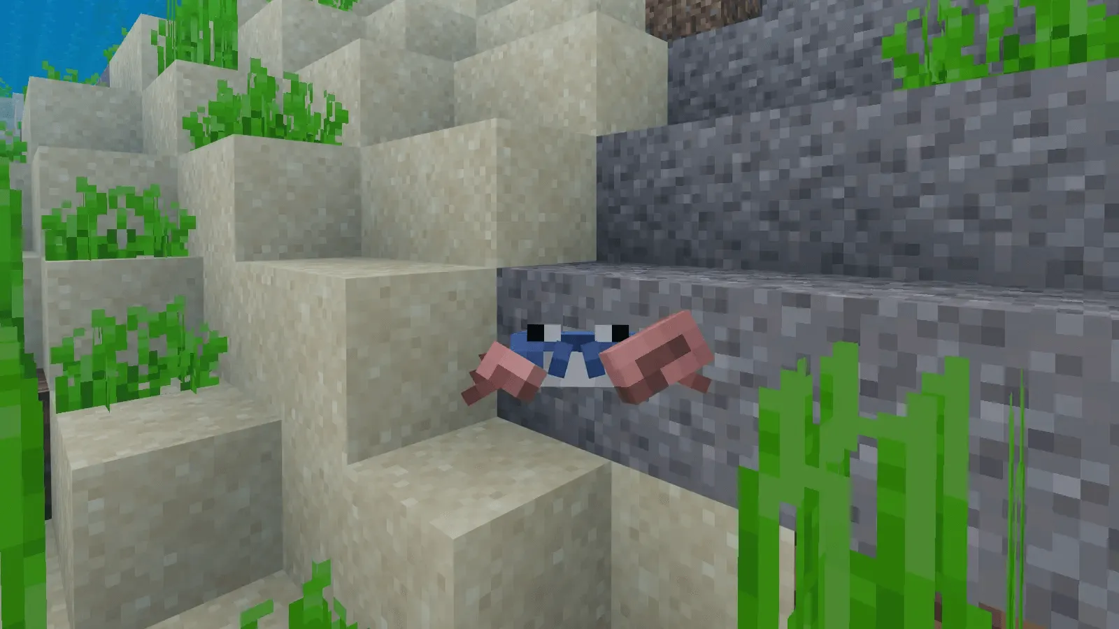 Краб плывет