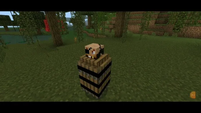 Вид сумасшедшего пирата