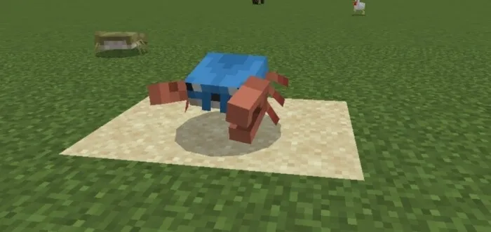 Краб на песке