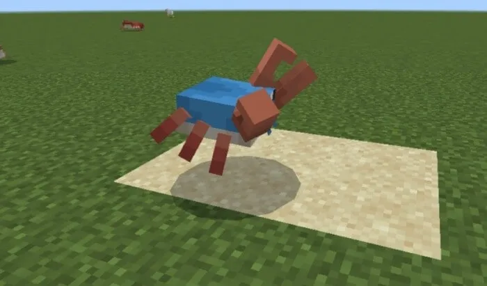 Краб прячется в песок