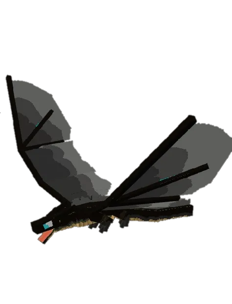 Черный дракон