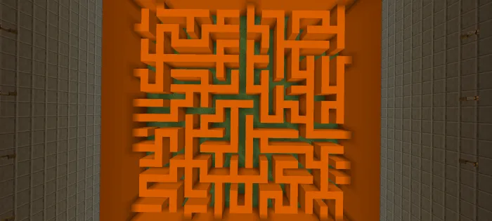 Вид лабиринта