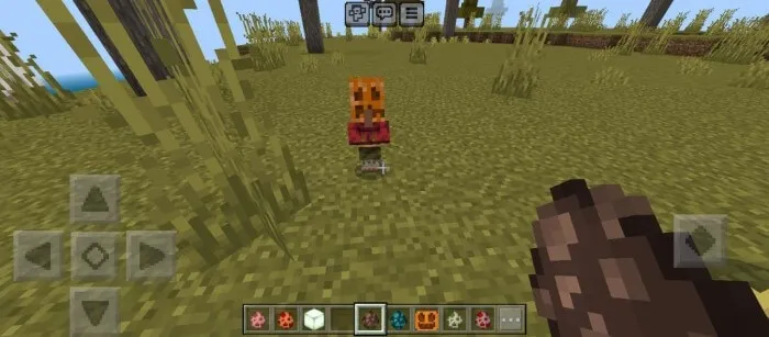 Вид сельского жителя с тыквой на голове