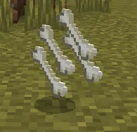 Кости Ягуара