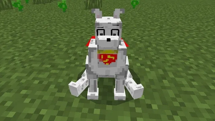 Крипто сидит