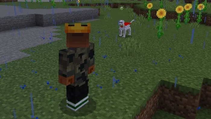 Крипто следует за игроком