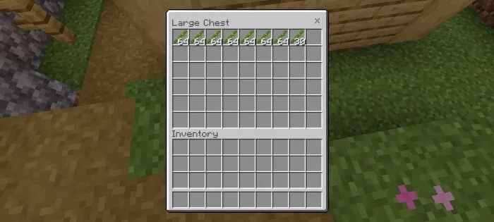 бамбук с фермы