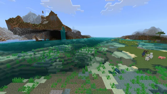 Растительность под водой