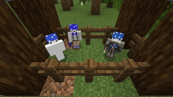 Фракция жителей