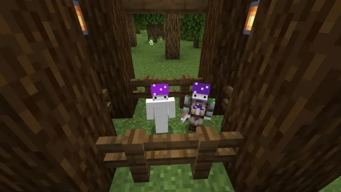 Две фракции