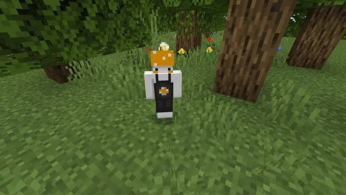 Вид шеф-повара