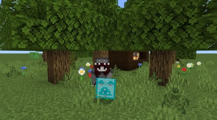 Секретный щит в руках игрока