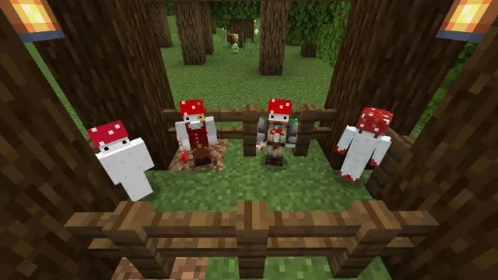 Фракция рыцарей