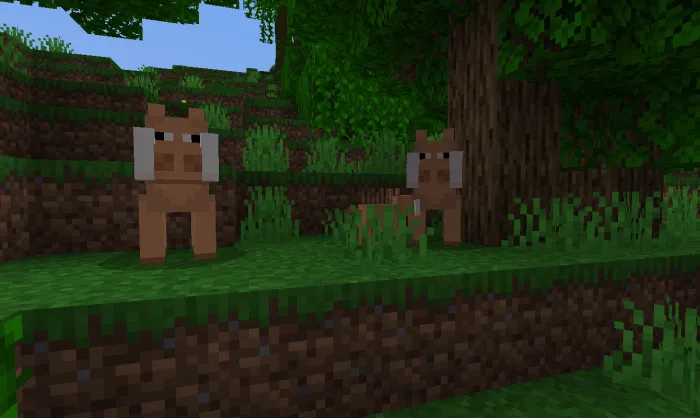 Вид кабанов