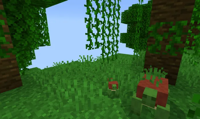 Вид черепахи