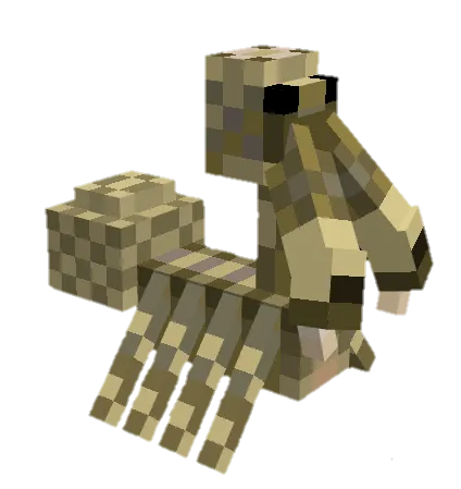 Вид паука пеликана