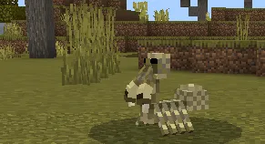 Паук пеликан в саванне