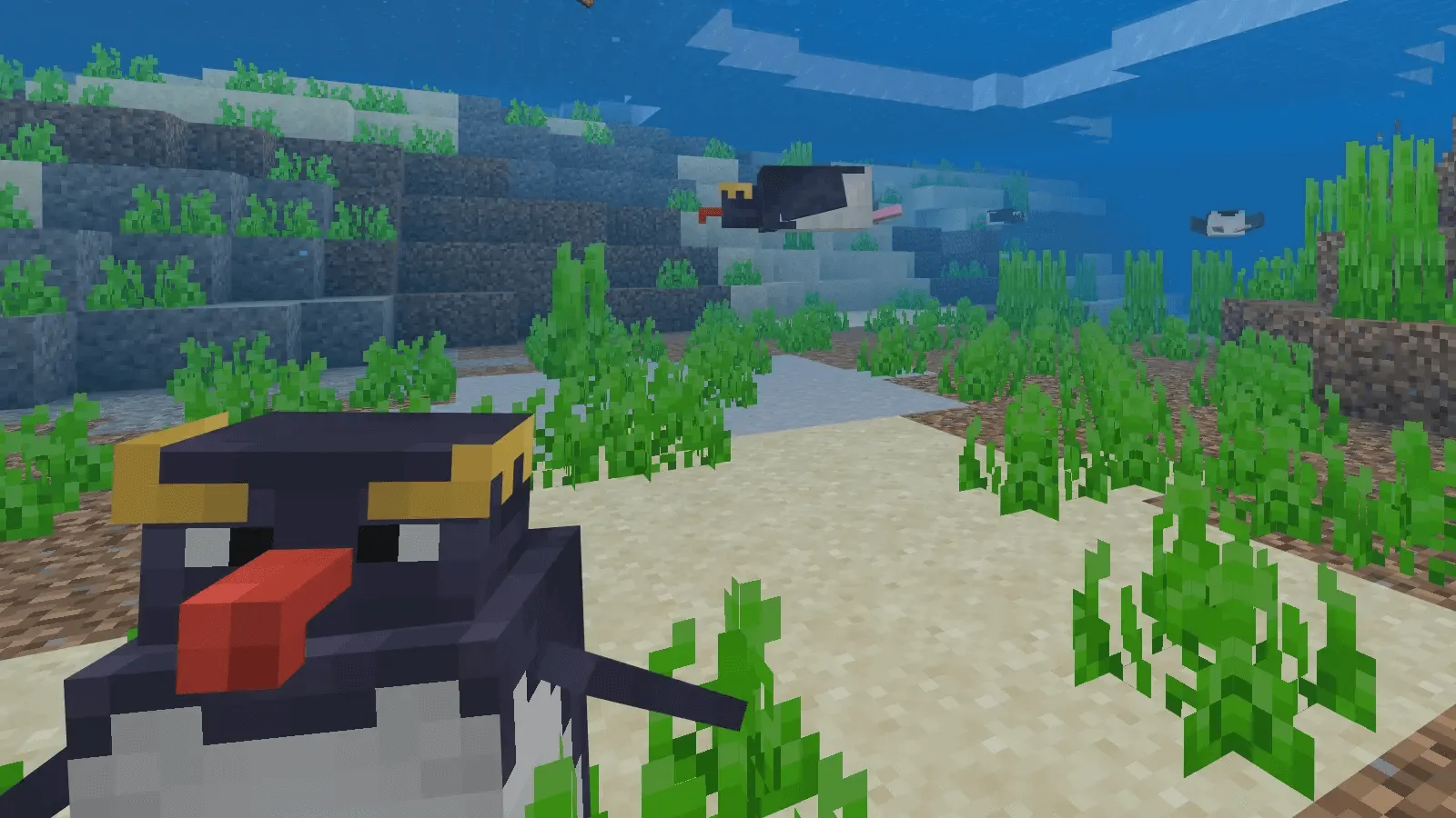 Пингвины плывут