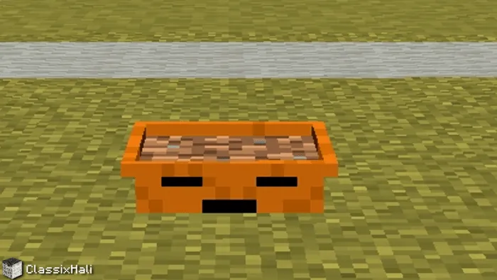 Вид горшка для растений