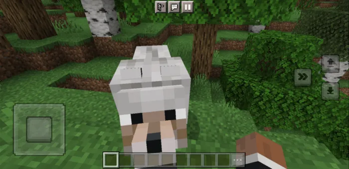 Большой волк