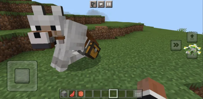 Большой волк сидит