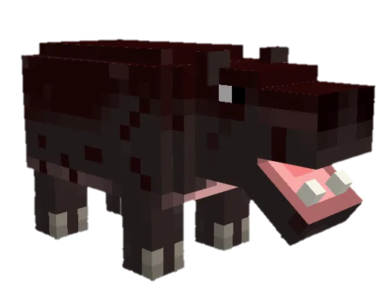 Вид карликового бегемота